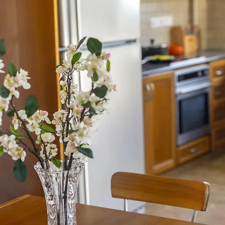 Maroni Beachfront Villa